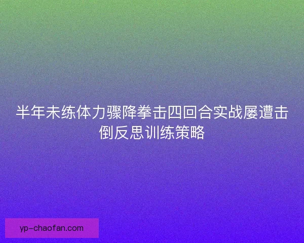 半年未练体力骤降拳击四回合实战屡遭击倒反思训练策略
